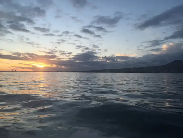 Water Taxi Waiheke 