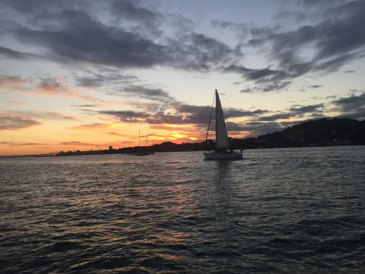 Auckland Water Taxis